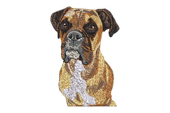 Boxer Dog Embroidery Review
