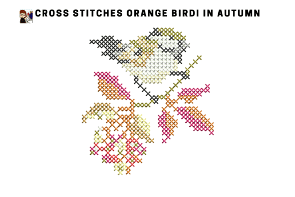 Cross Stitch Orange Bird Embroidery Review