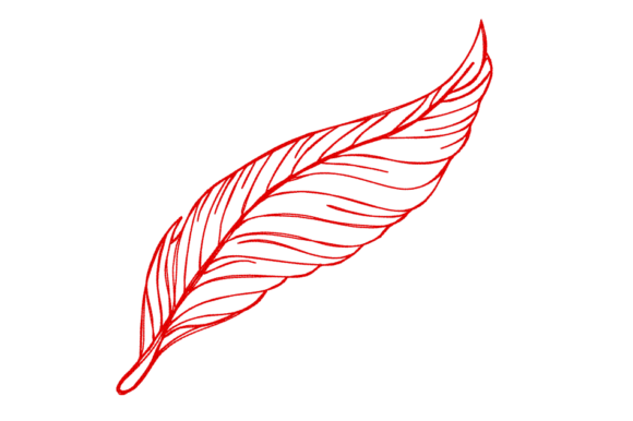 Feather Continuous Line Embroidery Review